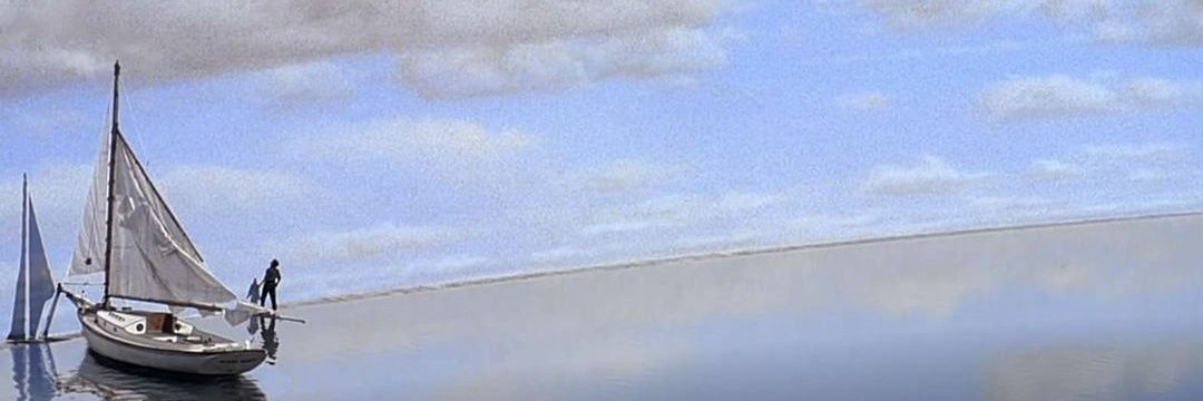 miro1528's profile banner image