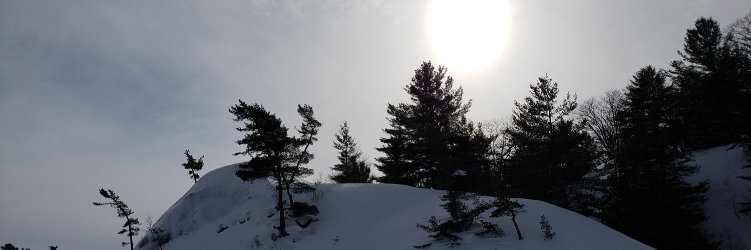 cassyREES's profile banner image