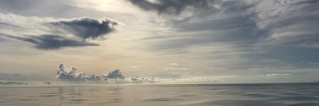 susanicolai's profile banner image