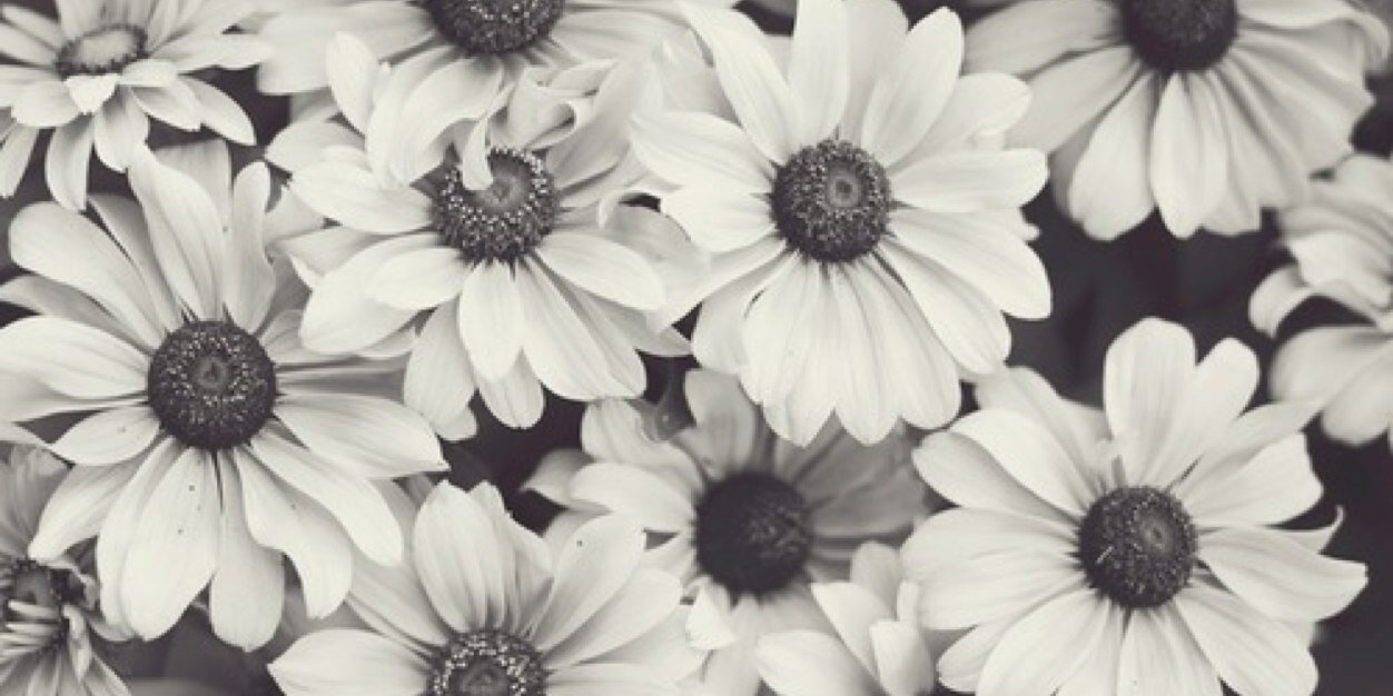 Natasha_Piche's profile banner image