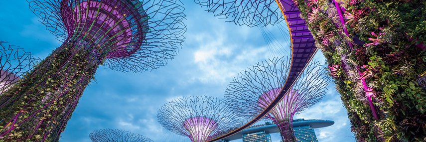 RoutledgeAreaStudies banner