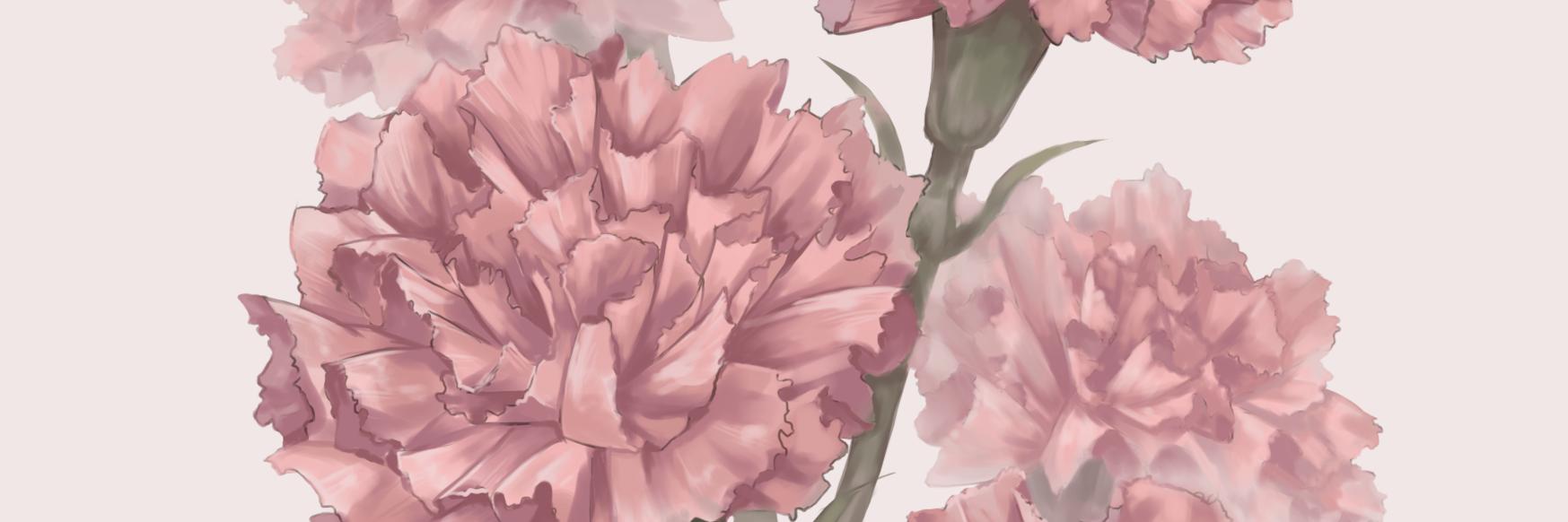 kaku_lea's profile banner image