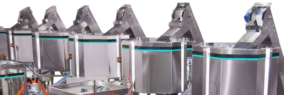 Shibuya Hoppmann banner