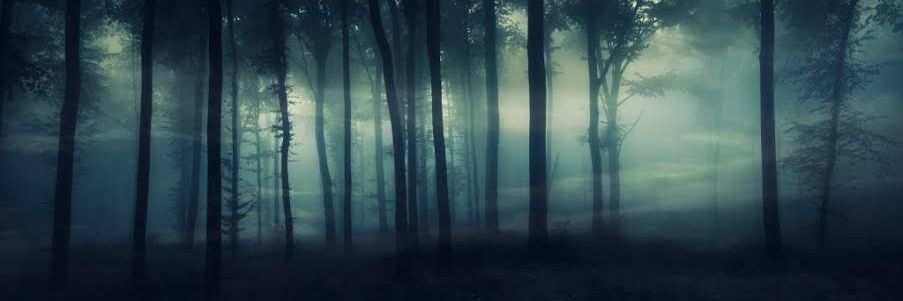 Cuervo_TheCrow's profile banner image