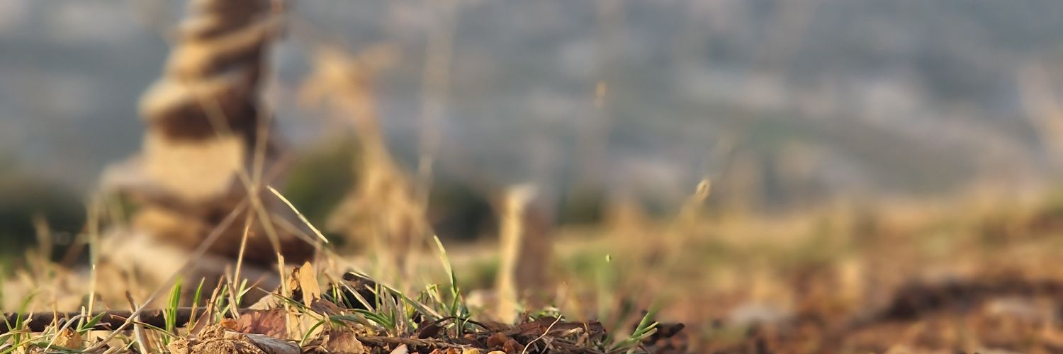 mageiax's profile banner image