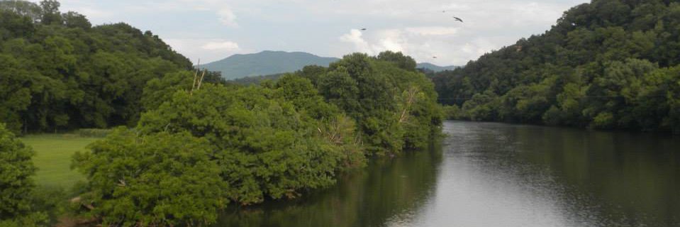 Toby Petzold 🇺🇸 banner