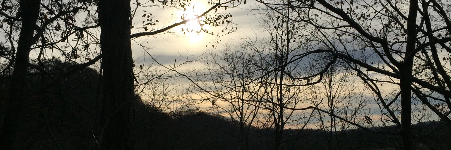 mirandalion__'s profile banner image