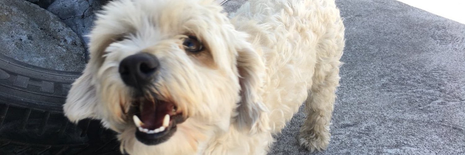 . banner