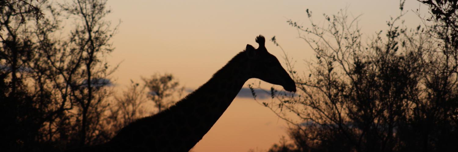 jessamyblank's profile banner image