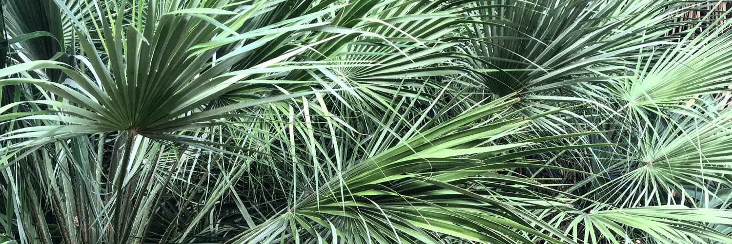 Photograp's profile banner image