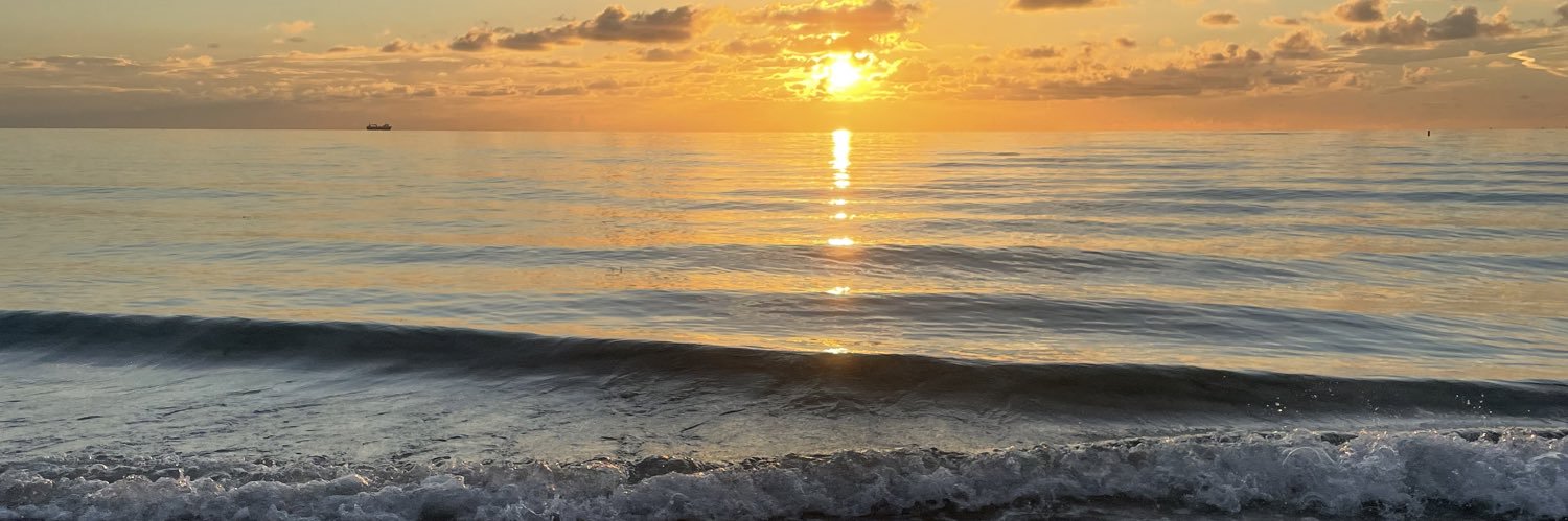 Carla Fabiola Negron banner