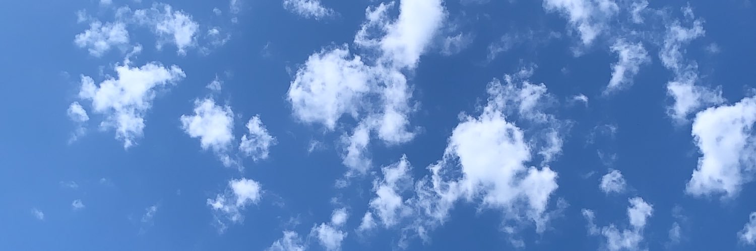 LeaSalinas's profile banner image