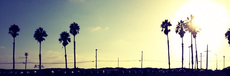 heidissalsa's profile banner image