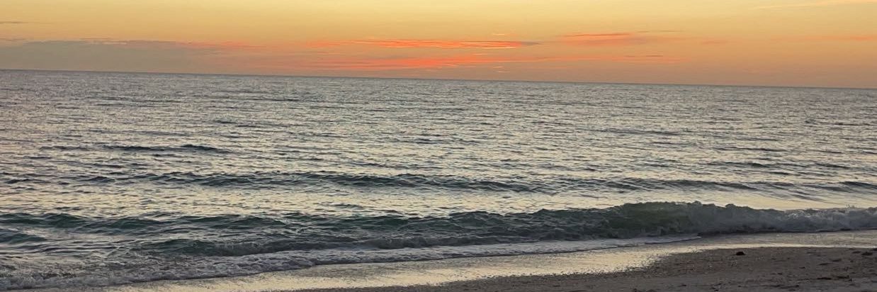 tay ❁ banner
