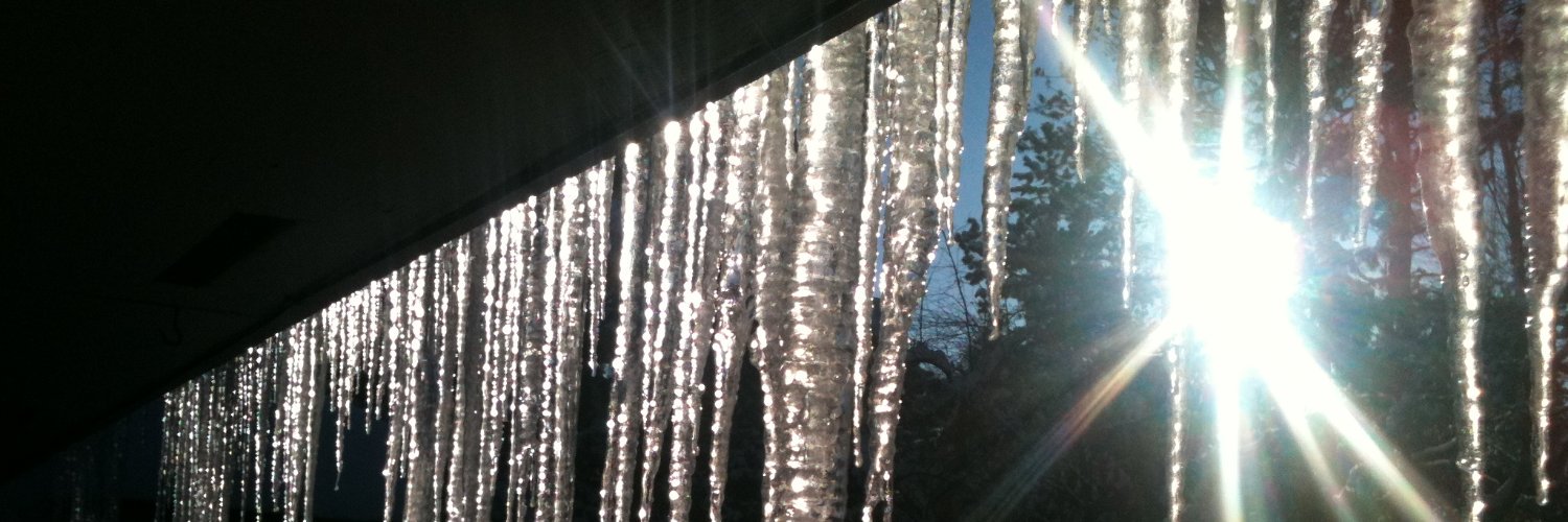 Fools Lightly banner