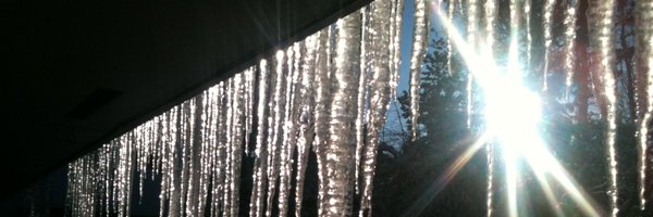 FoolsLightly Profile Banner