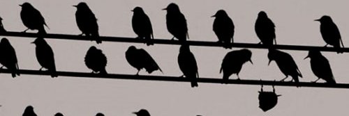 - banner