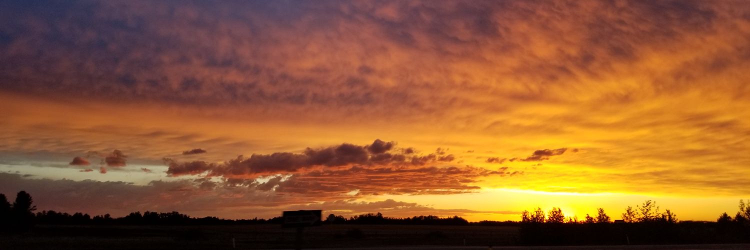 NikkyTimbo's profile banner image