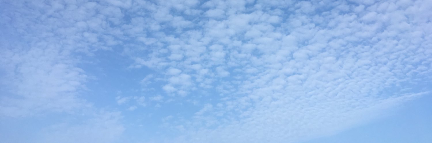 Elena Alventosa banner