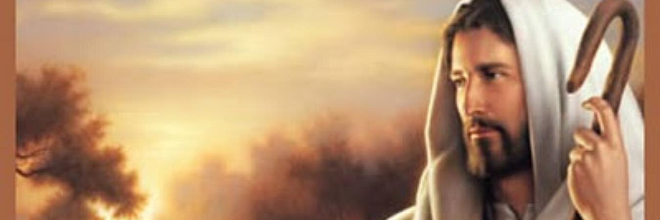 canmaba's profile banner image