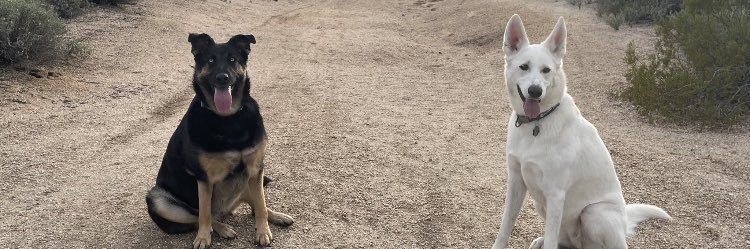 mischasmom's profile banner image
