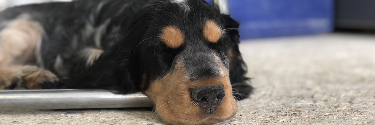 theotime's profile banner image