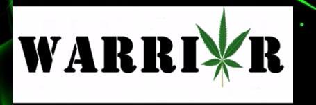 CastroLWarrior's profile banner image