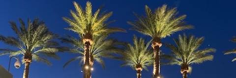 sjsweett's profile banner image