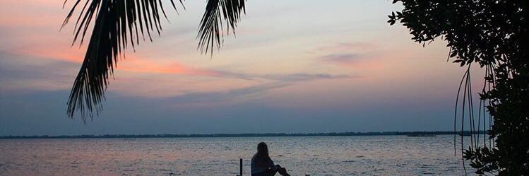 AliceB_k's profile banner image