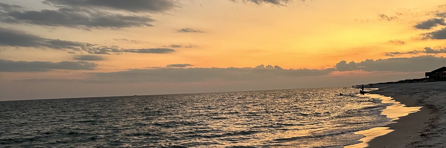 amber_michele_'s profile banner image