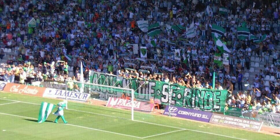 Alfonso Cantarero banner