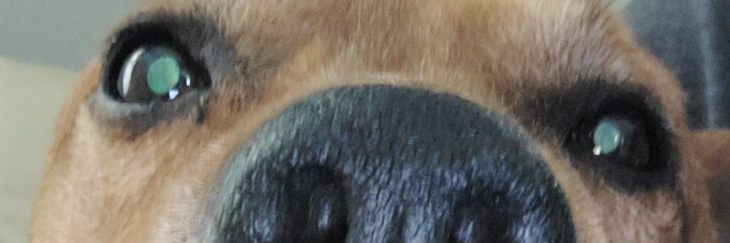 Redbeard0523's profile banner image
