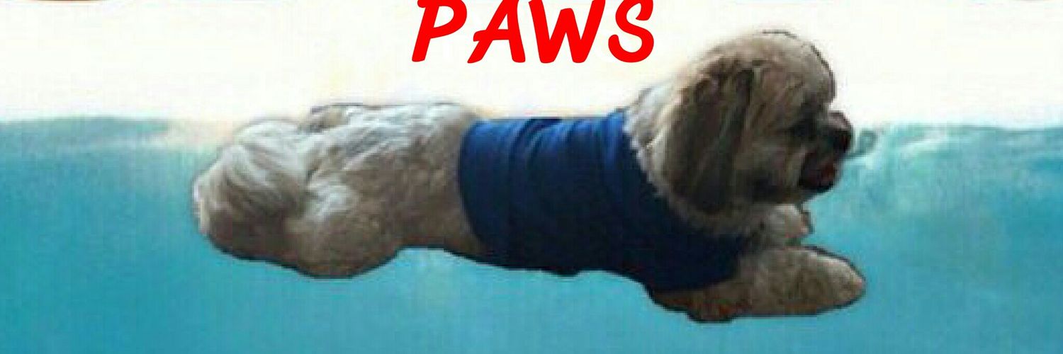 SaltWaterSamosa's profile banner image