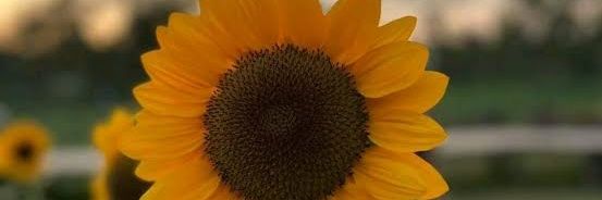 noom_np's profile banner image