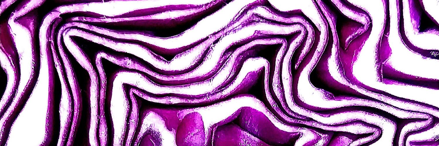 seasickcookie's profile banner image