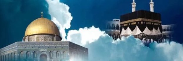 A_ALALII's profile banner image
