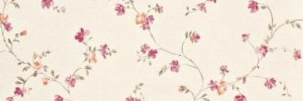 chicagrunge Profile Banner