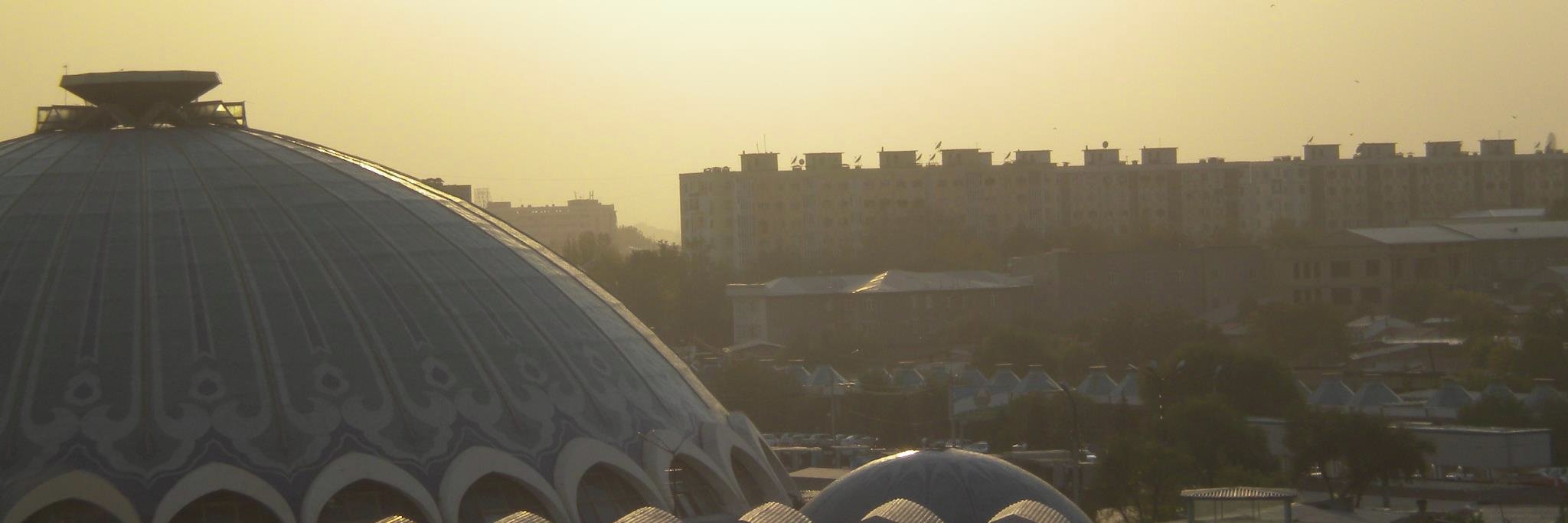 Zayra Badillo Castro banner