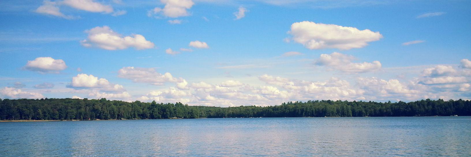 Andrea Lossing banner