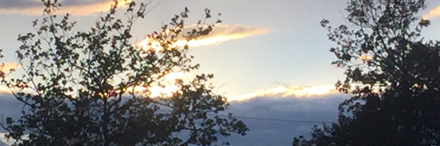 Lisa Baran ☮️ banner