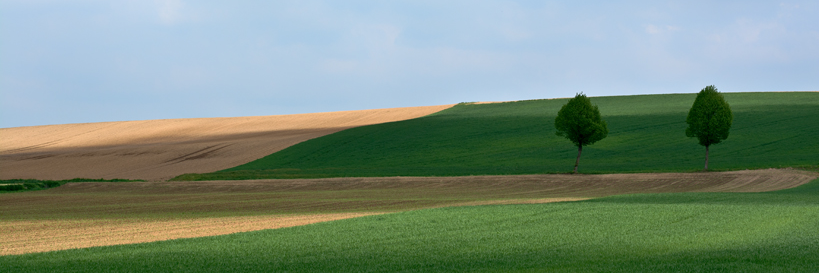 JVledder's profile banner image