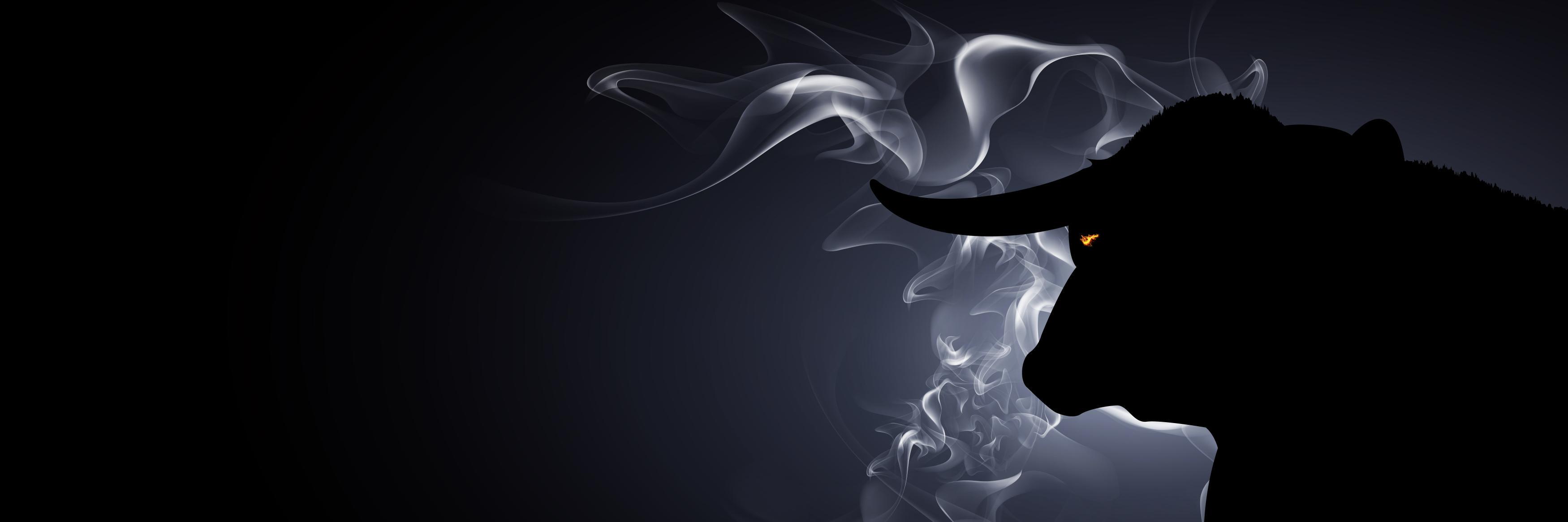 WTRodeo's profile banner image