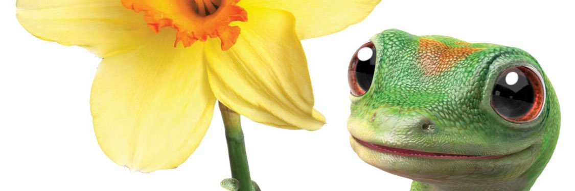 MizzLala_D's profile banner image