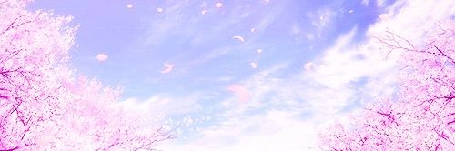 Moflipper1's profile banner image