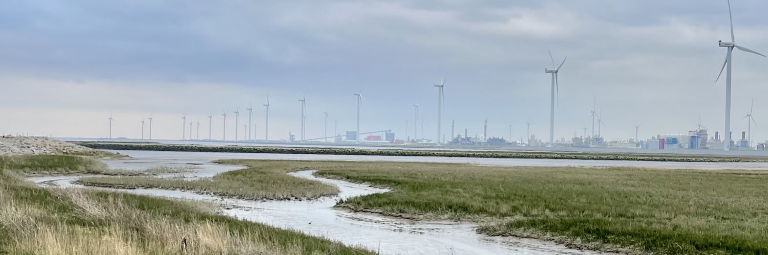 Liesbeth v Tongeren banner