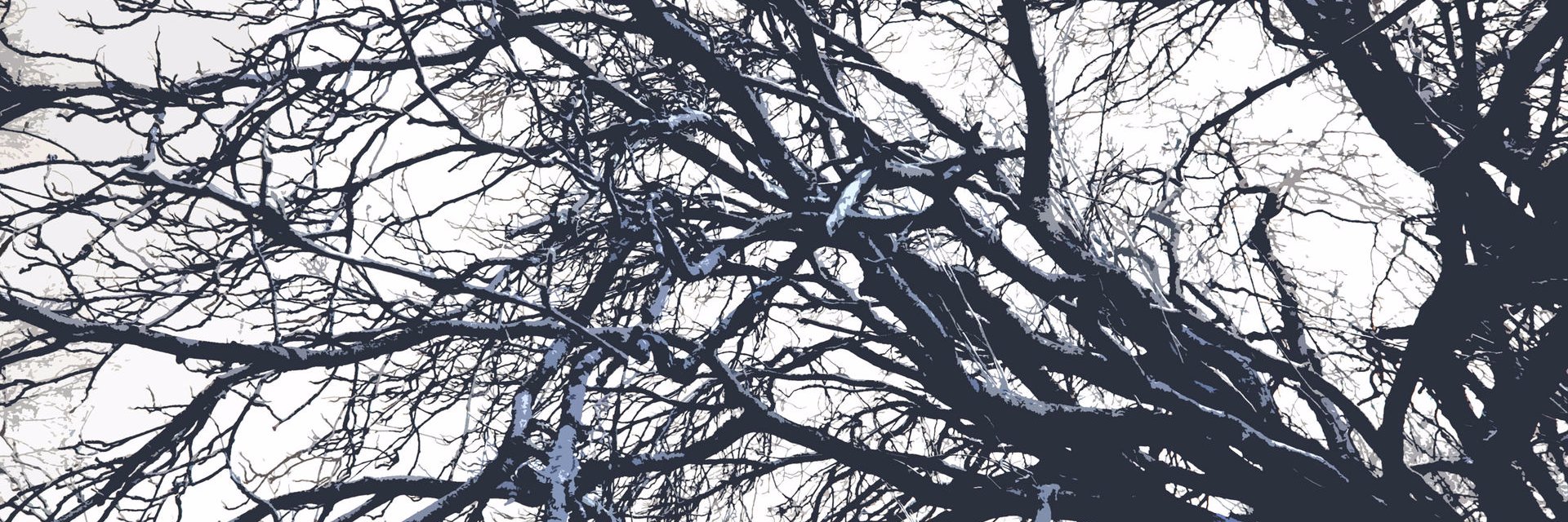 the3rdAlexar's profile banner image