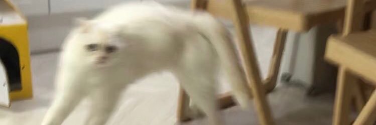 lucywetzel's profile banner image