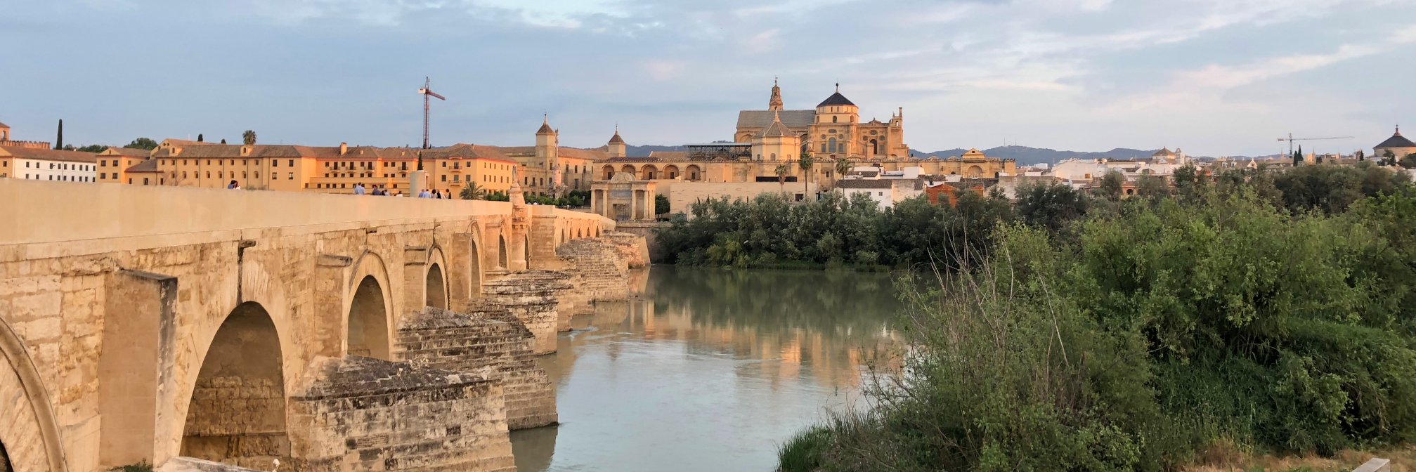 alba_ferri22's profile banner image