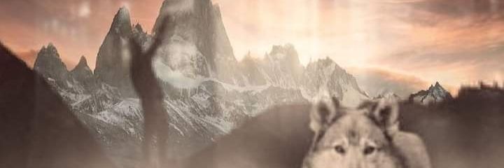 ccmonsterginger's profile banner image