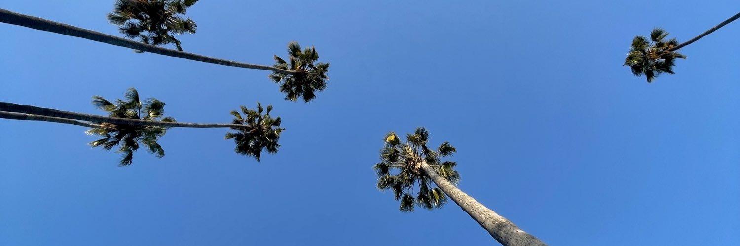 Grace Mikuriya banner